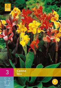 Canna mix 3 bollen