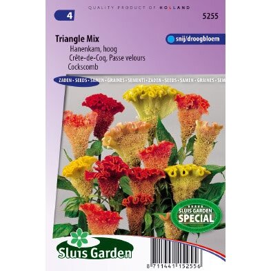 Celosia Argentea zaden Triangle mix hanekam