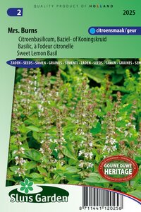 Citroen basilicum zaden Mrs. Burns online bestellen