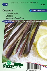 Citroengras Sereh zaden Citronella