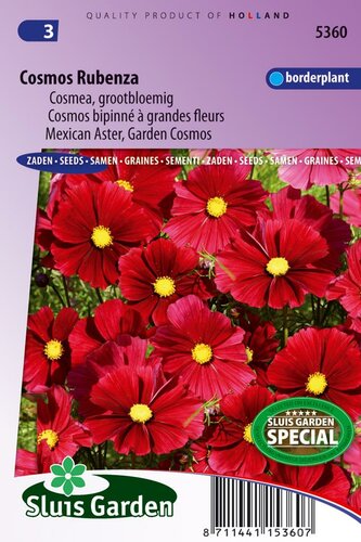 Cosmos zaden Fleuroselect Novelty Rubenza cosmea