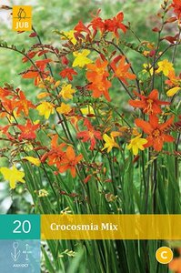 Crocosmia mix