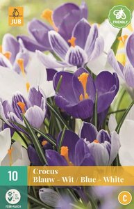 Crocus blauw / wit mix 10 bollen