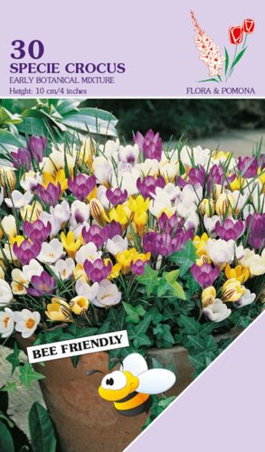 Crocus Specie Mixed 30 bollen