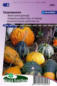 Bestel hier Cucurbita Pepo zaden Sierkalebas sierpompoen