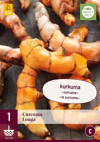 Curcuma longa