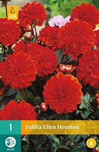Dahlia Ellen Houston