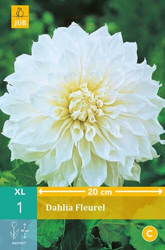 Dahlia Fleurel - afbeelding 1