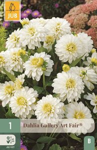 Dahlia gallery art fair®