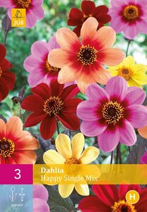 Dahlia happy single mix