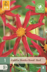 Dahlia honka rood - afbeelding 1