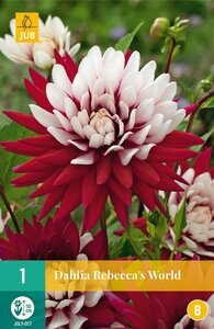 Dahlia Rebeccas world - afbeelding 2