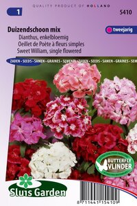 Dianthus Barbatus zaden Duizendschoon Enkel