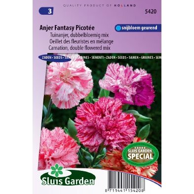 Dianthus Caryophyllus zaden Picotee Fantasy Anjer