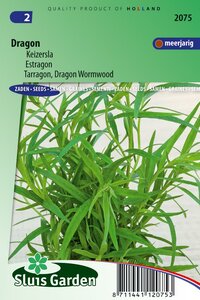 Dragon zaden Artemisia Dracunculus bestellen