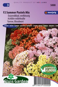 Duizendblad zaden Summer Pastels F2 mix (Achillea)
