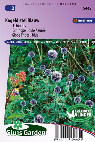 Echinops Ritro zaden Kogeldistel Blauw