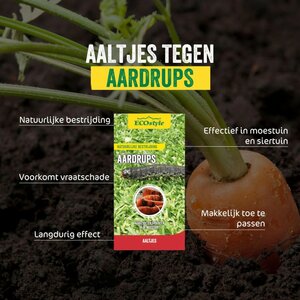 Ecostyle aaltjes tegen aardrups 60 m² - afbeelding 2