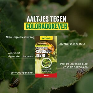Ecostyle aaltjes tegen coloradokever 10 m² - afbeelding 2