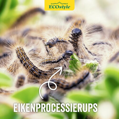 Ecostyle Aaltjes tegen eikenprocessierupsen 10 m² - afbeelding 3