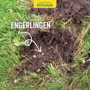 Ecostyle Aaltjes tegen engerlingen 10 m² - afbeelding 3
