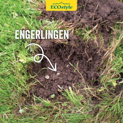 Ecostyle Aaltjes tegen engerlingen 100 m² - afbeelding 3
