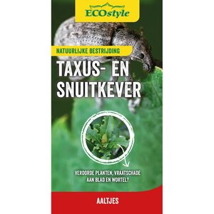 Ecostyle aaltjes tegen larven taxus-kever H 10 m² - afbeelding 1
