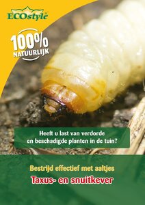 Ecostyle aaltjes tegen larven taxus-kever L 10 m² - afbeelding 1