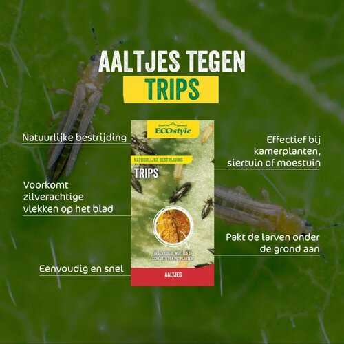 Ecostyle Aaltjes tegen larven trips 50 m² - afbeelding 2