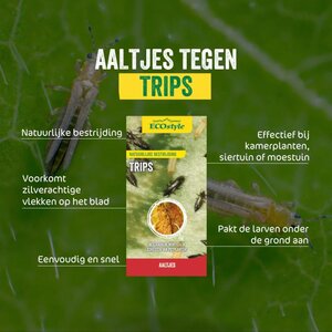 Ecostyle Aaltjes tegen larven trips 50 m² - afbeelding 2