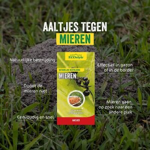 Ecostyle Aaltjes tegen mieren 50 m² - afbeelding 2