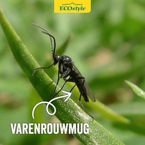 Ecostyle Aaltjes tegen varenrouwmug 50-100 planten - afbeelding 3
