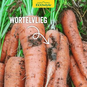 Ecostyle aaltjes tegen wortelvlieg 60 m2 - afbeelding 3