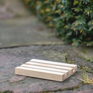 Ecostyle Aaltjesval tegen taxuskevers - afbeelding 4