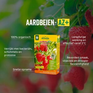 Ecostyle Aardbeien-az 800 gram - afbeelding 2