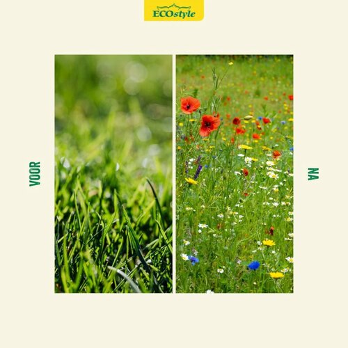 Ecostyle AZstyle Graszaad inheemse veldbloemen 500g - afbeelding 3