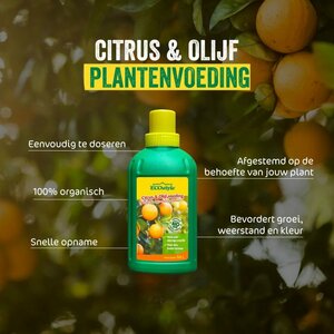 Ecostyle Citrus & olijf voeding 1000 ml - afbeelding 2