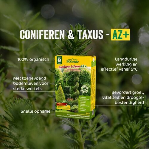 Ecostyle Coniferen & taxus-az 1.6 kg - afbeelding 2