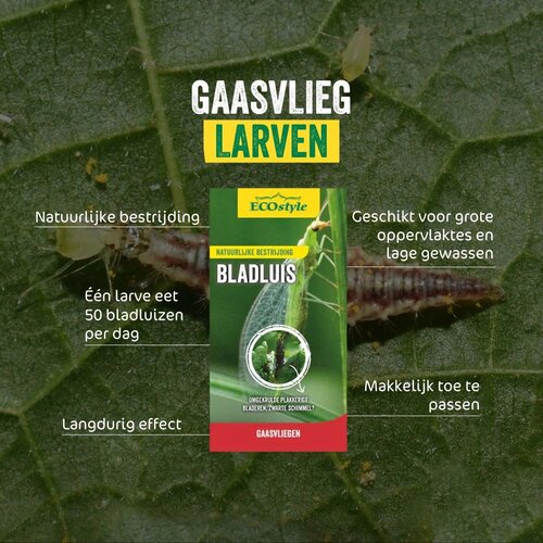 Ecostyle gaasvlieg tegen bladluis 50 m² - afbeelding 2