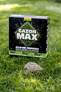 Ecostyle gazon max 10 kg voor 200 m² - afbeelding 2