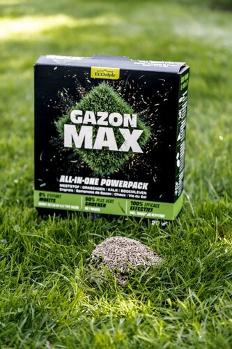 Ecostyle gazon max 4 kg voor 80 m² - afbeelding 2