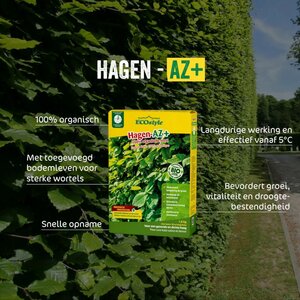 Ecostyle Hagen-az 1.6 kg - afbeelding 2