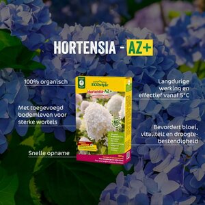 Ecostyle Hortensia-az 1.6 kg - afbeelding 2