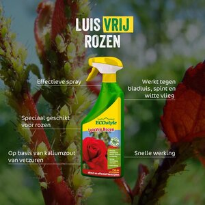 ECOstyle Luisvrij rozen 750 ml - afbeelding 2
