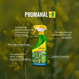 ECOstyle Promanal-R gebruiksklaar 500 ml - afbeelding 2