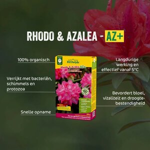 Ecostyle Rhodo & azalea-az 800 gram - afbeelding 2
