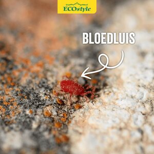 Ecostyle roofmijt tegen bloedluis bij gevogelte 10 m² - afbeelding 3