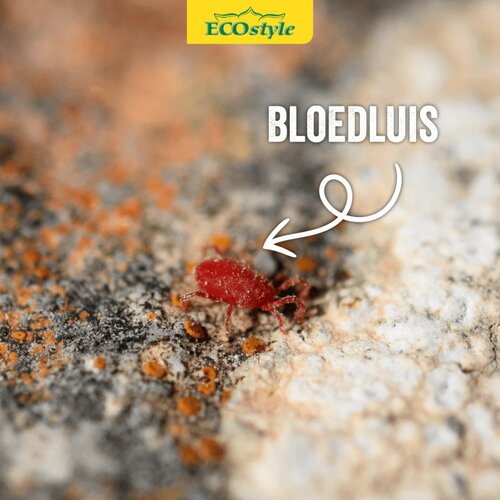 Ecostyle roofmijt tegen bloedluis bij gevogelte 5 m² - afbeelding 3