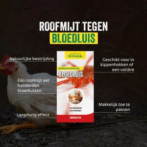 Ecostyle roofmijt tegen bloedluis bij gevogelte 5 m² - afbeelding 2