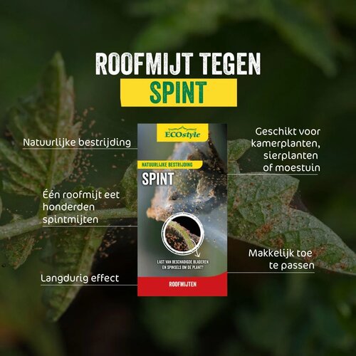 Ecostyle roofmijt tegen spint 20 m² - afbeelding 2